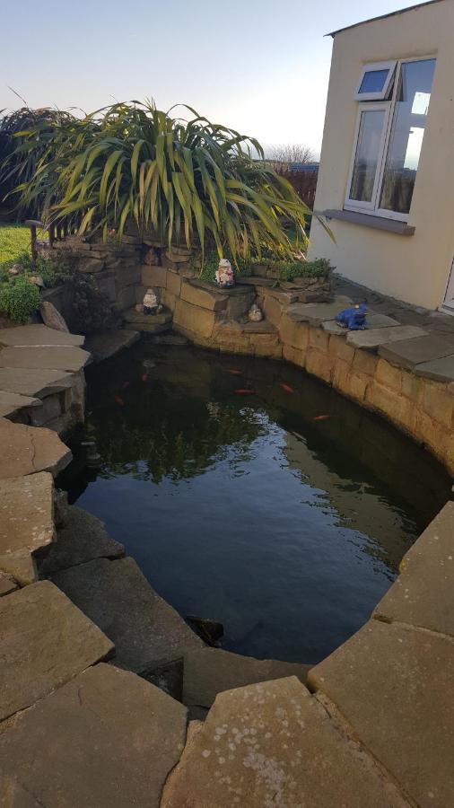 Sunrise View Bed & Breakfast Castlemagee Bagian luar foto